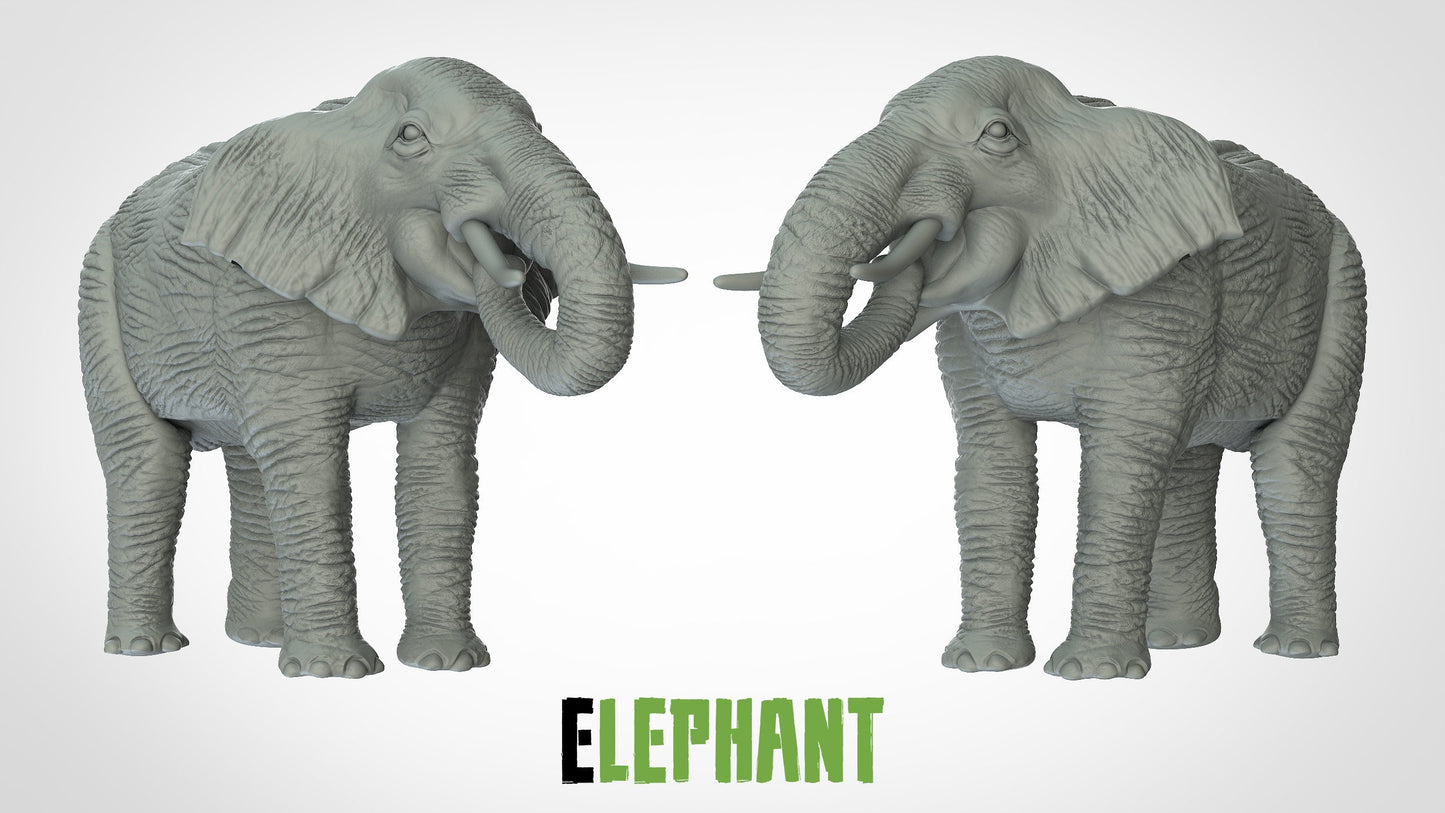 Elephant Miniatures (2 variations) | RPG Minis | D&D | DND | RPG | Tabletop Gaming | From 3D IPStudios