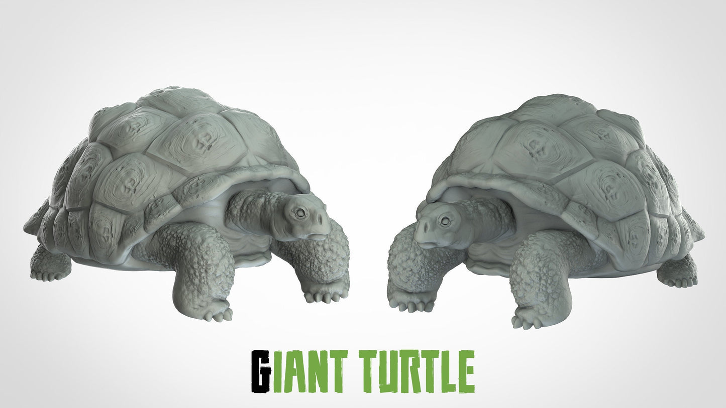 Giant Tortoise Miniature | RPG Minis | D&D | DND | RPG | Tabletop Gaming | From 3D IPStudios
