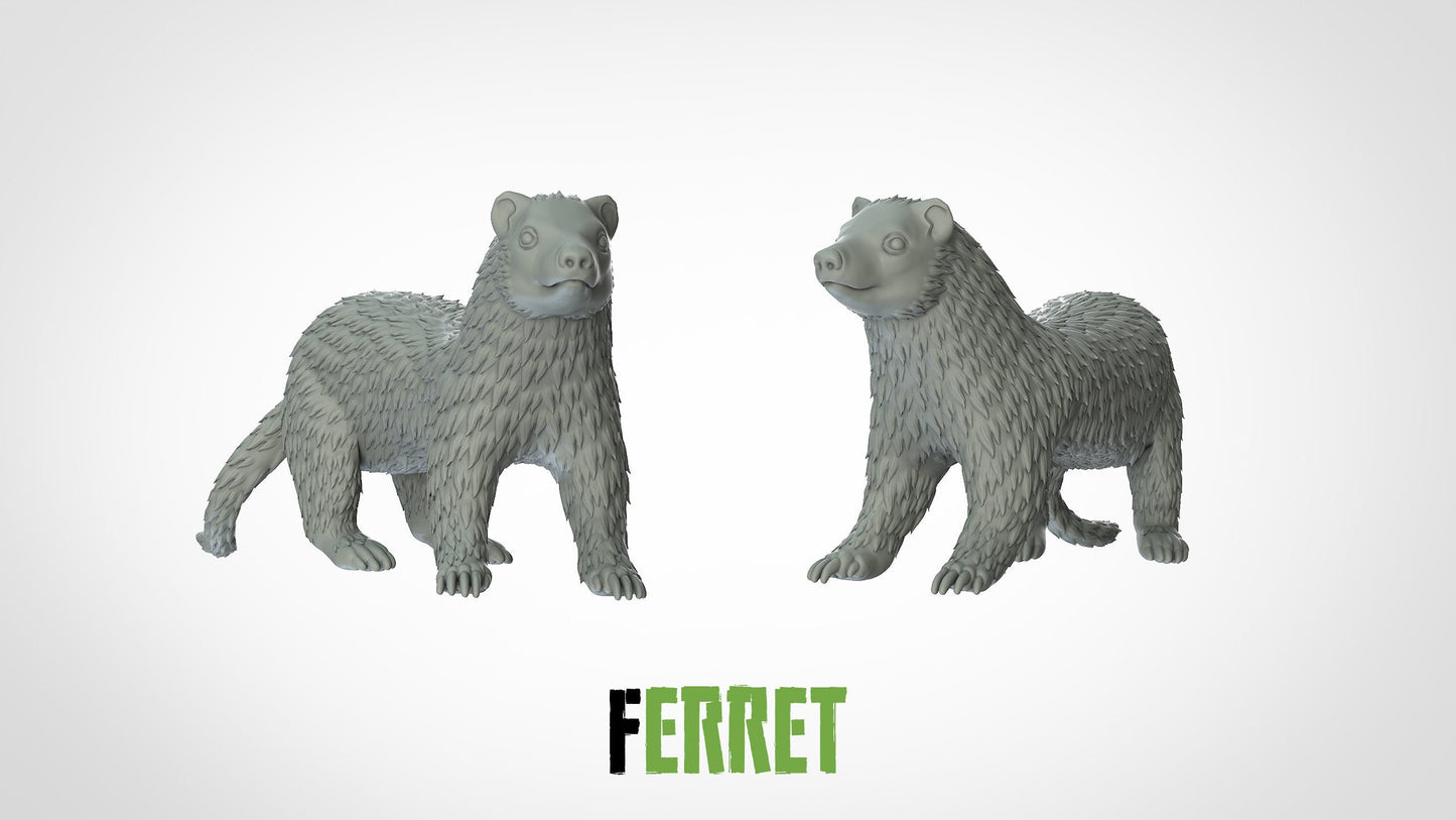 Ferret Miniature | RPG Minis | D&D | DND | RPG | Tabletop Gaming | From 3D IPStudios