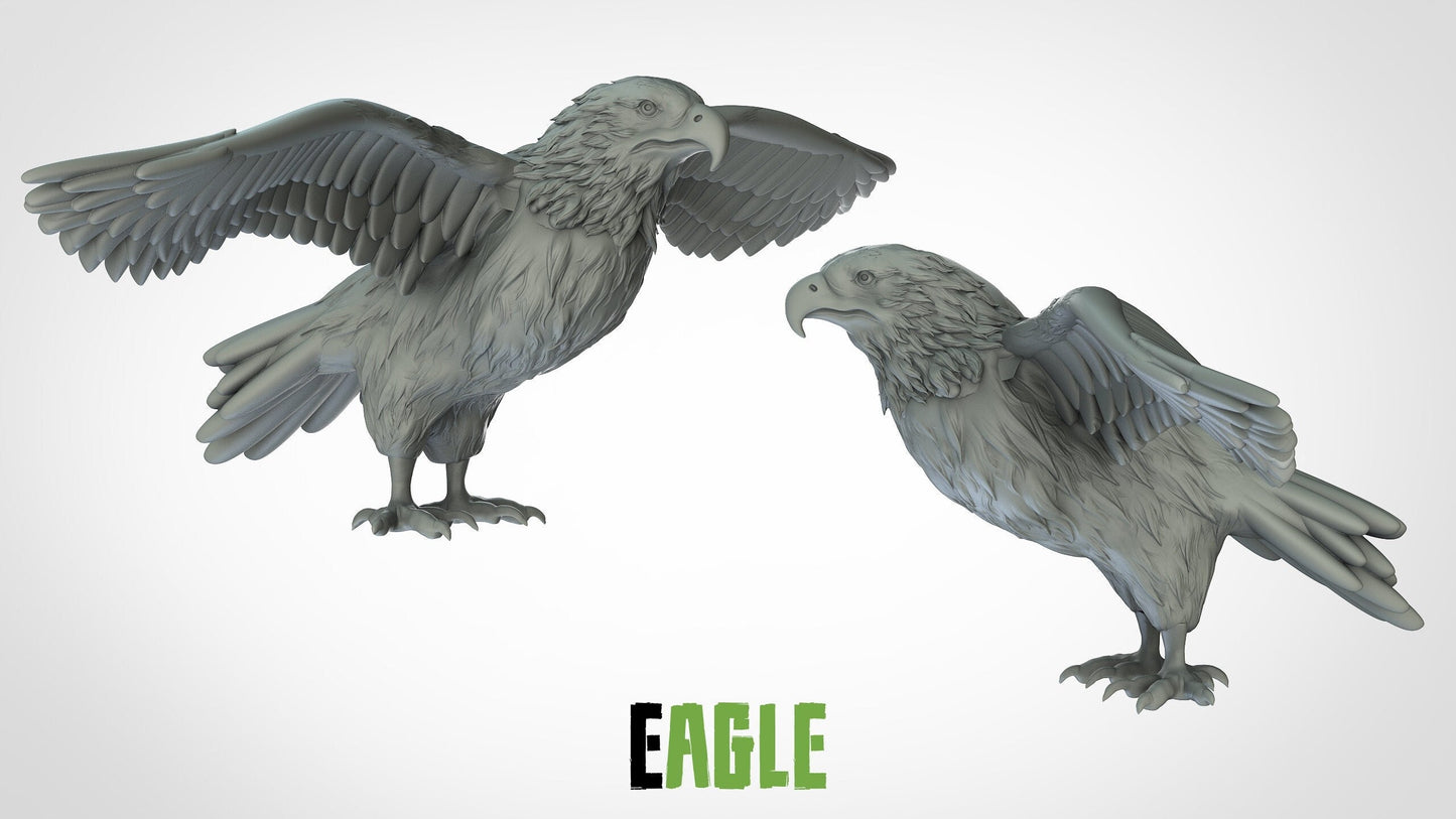 Eagle Miniature | RPG Minis | D&D | DND | RPG | Tabletop Gaming | From 3D IPStudios