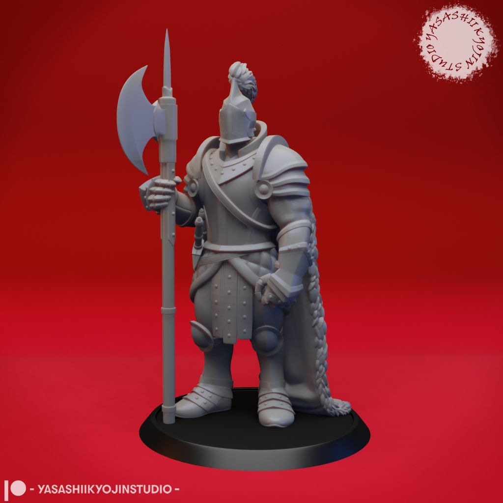 Paladin Miniature  | RPG Minis | D&D | DND | RPG | Tabletop Gaming |  From Yasashii Kyojin Studios
