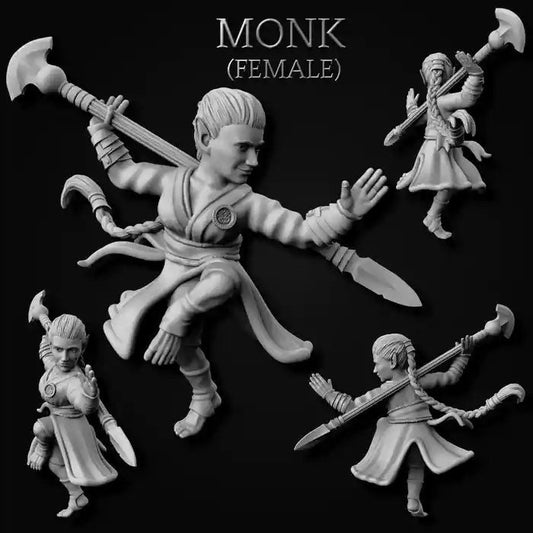 Gnome Monk (Male or Female) Miniatures  | RPG Minis | DND | D&D | RPG | Tabletop Gaming |  From MiniForge