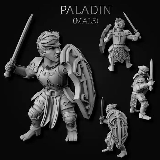 Gnome Paladin (Male or Female) Miniature  | RPG Minis | DND | D&D | RPG | Tabletop Gaming |  From MiniForge