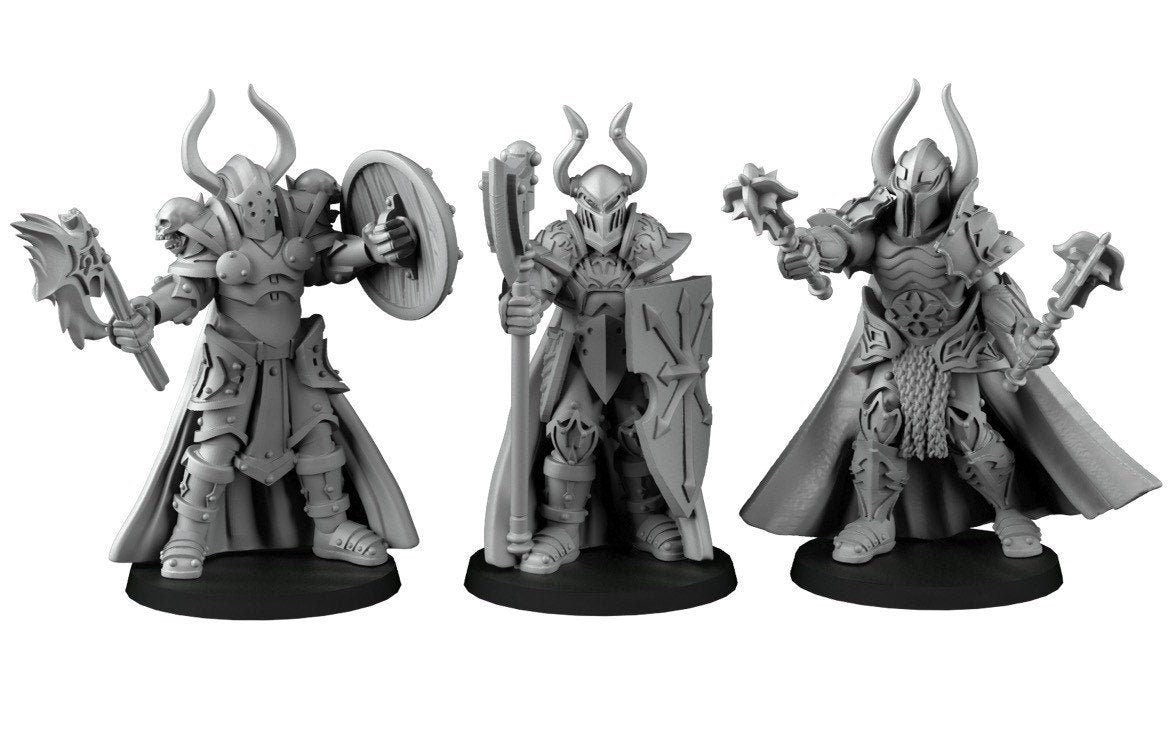 Paladin/Guard/Fighter Miniatures | RPG Minis | D&D | DND | RPG | Tabletop Gaming |  From Cross Lances