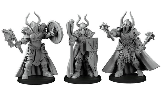 Paladin/Guard/Fighter Miniatures | RPG Minis | D&D | DND | RPG | Tabletop Gaming |  From Cross Lances