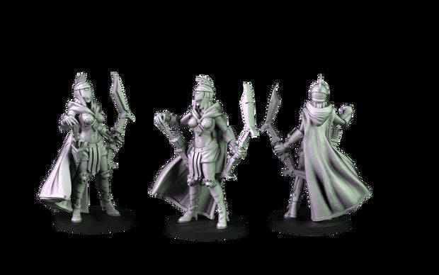 Male/Female Warforged Paladin Miniatures  | RPG Minis | D&D | DND | RPG | Tabletop Gaming |  From Cross Lances