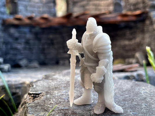 Paladin Miniature  | RPG Minis | D&D | DND | RPG | Tabletop Gaming |  From Yasashii Kyojin Studios