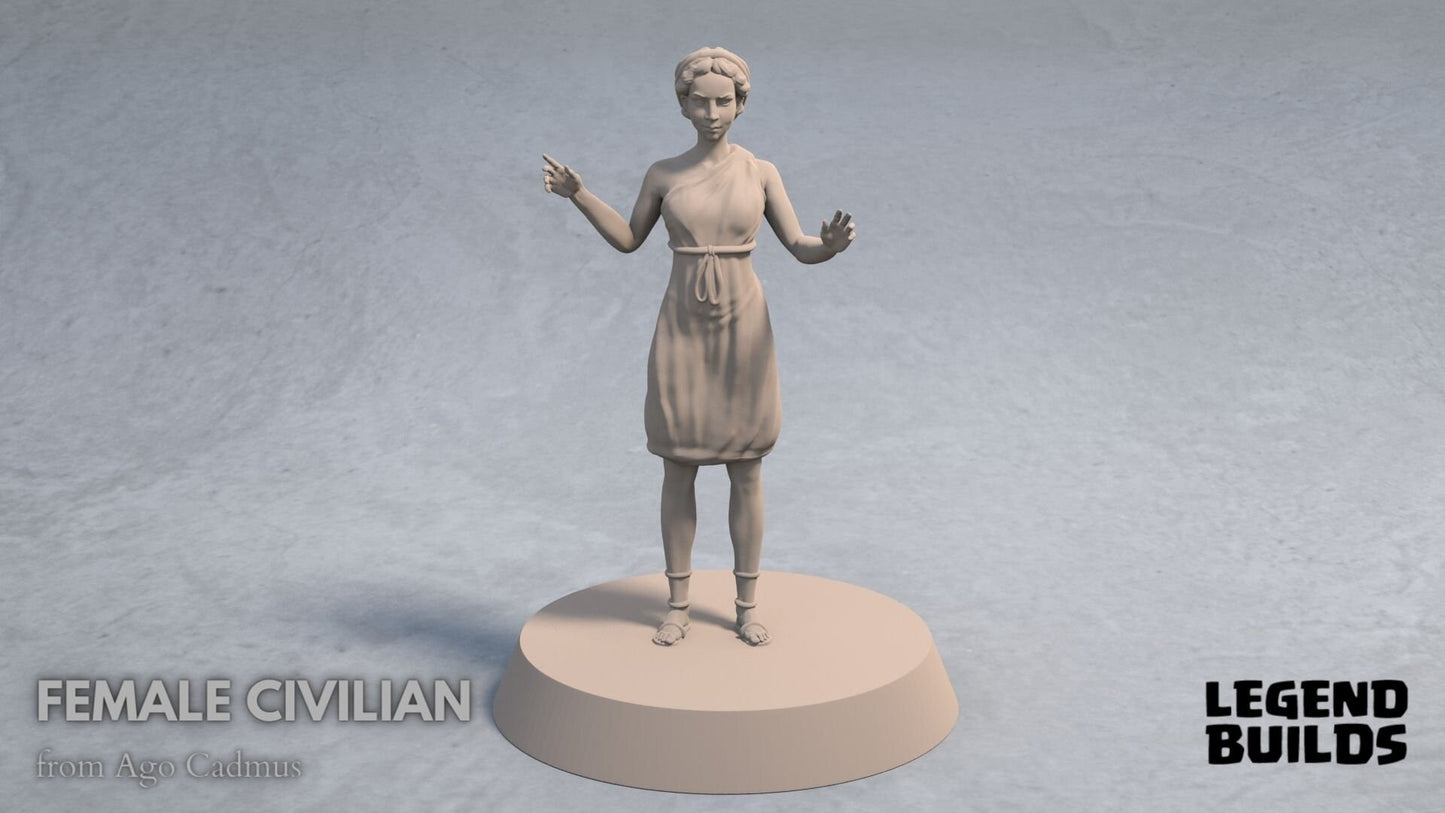 Nobles/Nobility Miniatures  | RPG Minis | D&D | DND | RPG | Tabletop Gaming |  From LegendBuilds