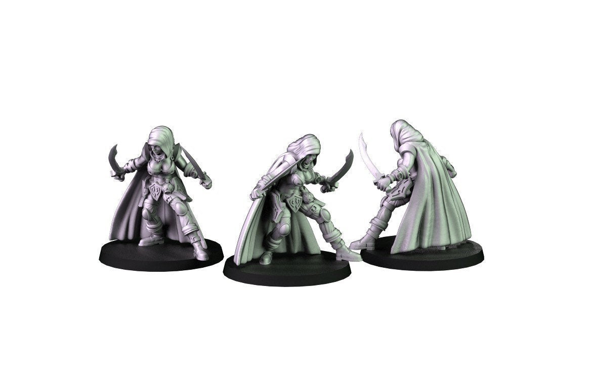 Female Rogue Miniature  | RPG Minis | D&D | DND | RPG | Tabletop Gaming |  From Cross Lances