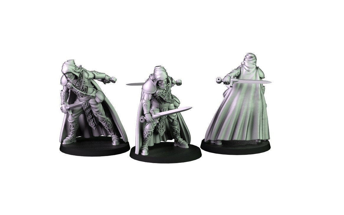 Adventuring Crew Miniature Collection  | RPG Minis | D&D | DND | RPG | Tabletop Gaming |  From Cross Lances