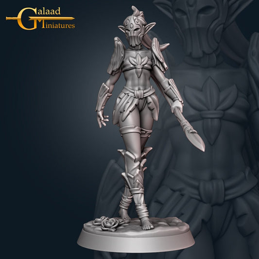 Female Wood Elf Paladin Miniature  | RPG Minis | D&D | DND | RPG | Tabletop Gaming |  From Galaad Miniatures