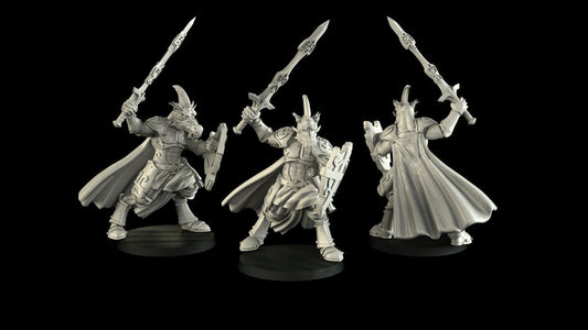 Dragonborn Paladin Miniature  | RPG Minis | D&D | DND | RPG | Tabletop Gaming |  From Cross Lances