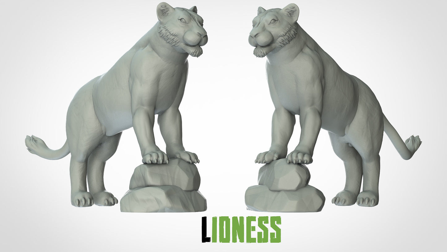 Lion/Lioness Miniatures (3 variations)  | RPG Minis | D&D | DND | RPG | Tabletop Gaming |  From 3D IPStudios