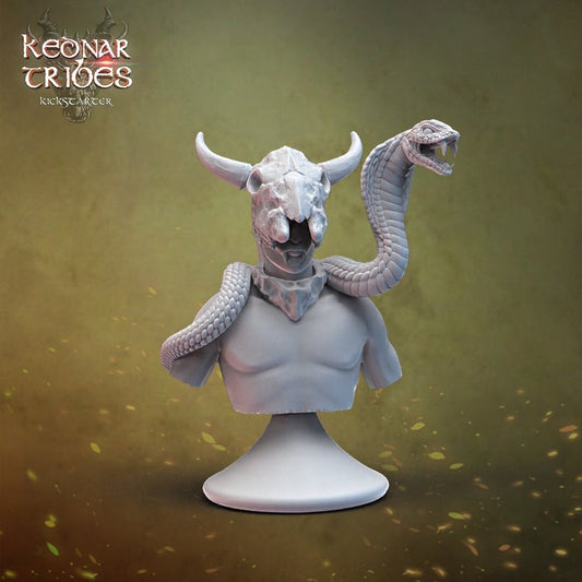 Desert Druid Bust  | RPG Minis | D&D | DND | RPG | Tabletop Gaming |  From Cursed Forge Miniatures