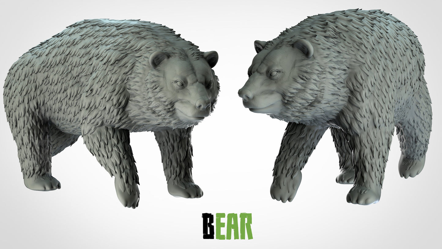 Bear Miniatures (2 variations)  | RPG Minis | D&D | DND | RPG | Tabletop Gaming |  From 3D IPStudios