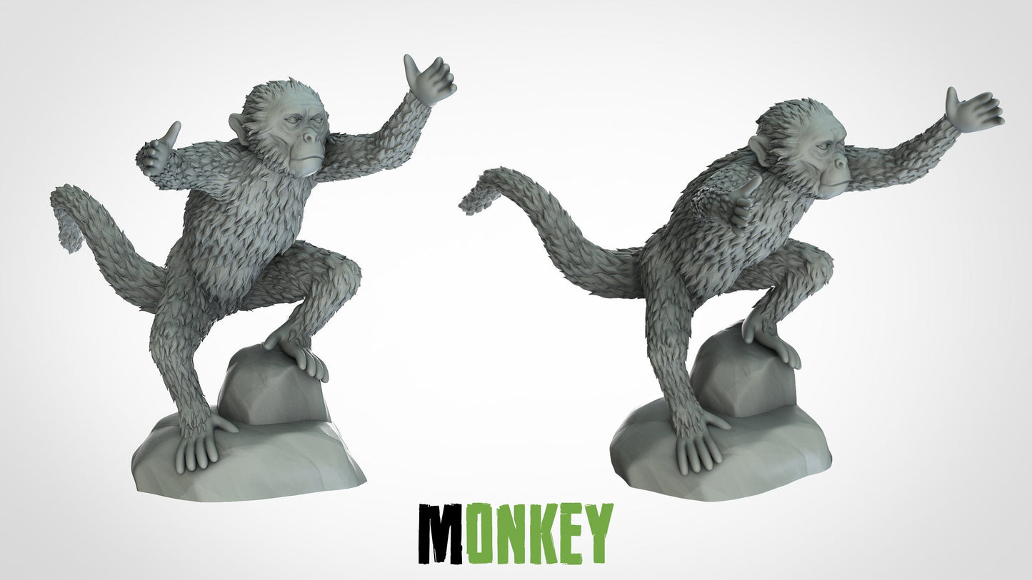 Monkey Miniatures (2 variations)  | RPG Minis | D&D | DND | RPG | Tabletop Gaming |  From 3D IPStudios