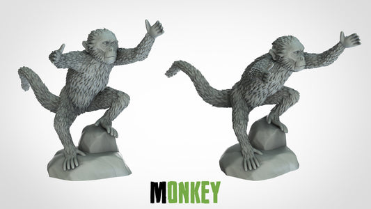 Monkey Miniatures (2 variations)  | RPG Minis | D&D | DND | RPG | Tabletop Gaming |  From 3D IPStudios