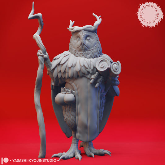 Owlin Wizard Miniature  | RPG Minis | D&D | DND | RPG | Tabletop Gaming |  From Yasashii Kyojin Studios