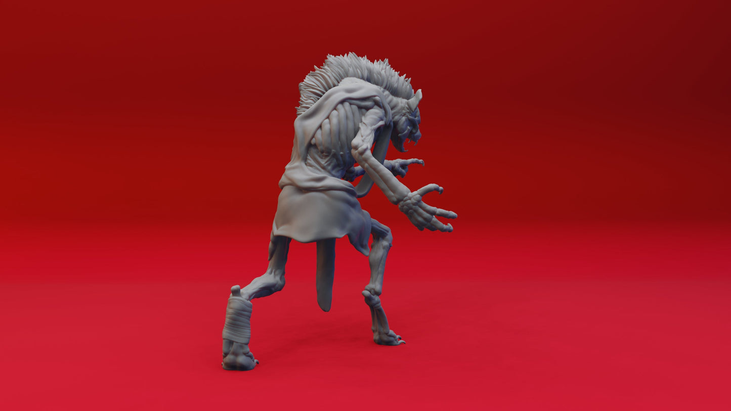 Witherlings Collection Miniatures | RPG Gnolls | D&D Gnoll | DND Witherlings | RPG Enemies | Tabletop Gaming | Skeletal Gnolls